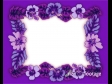 Pacific Hibiscus Flowers Purple Alpha 134
